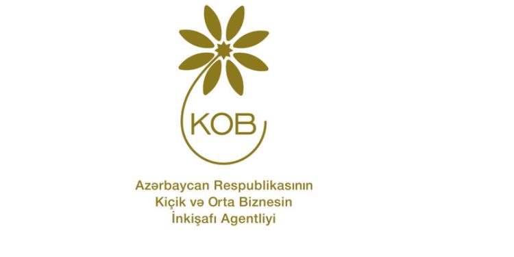 Kiçik və Orta biznesin inkişafı Agentliyi (KOBİA)